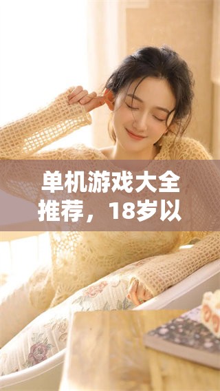 单机游戏大全推荐，18岁以上玩家不容错过的精彩娱乐体验