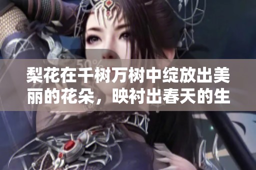 梨花在千树万树中绽放出美丽的花朵，映衬出春天的生机与活力