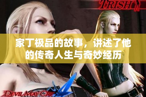 家丁极品的故事，讲述了他的传奇人生与奇妙经历
