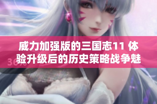 威力加强版的三国志11 体验升级后的历史策略战争魅力