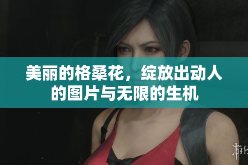 美丽的格桑花，绽放出动人的图片与无限的生机
