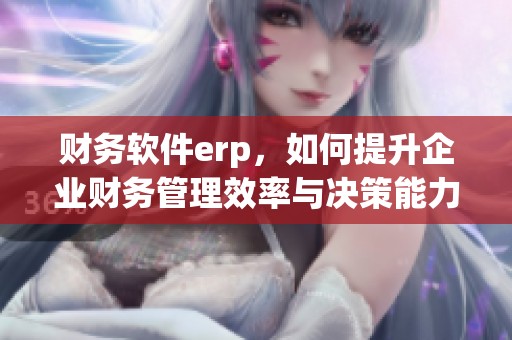 财务软件erp，如何提升企业财务管理效率与决策能力