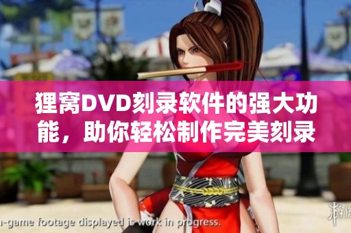 狸窝DVD刻录软件的强大功能，助你轻松制作完美刻录效果