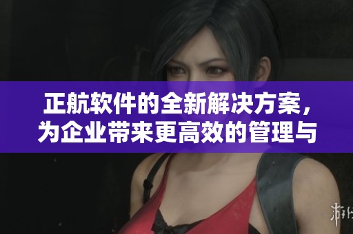 正航软件的全新解决方案，为企业带来更高效的管理与服务体验