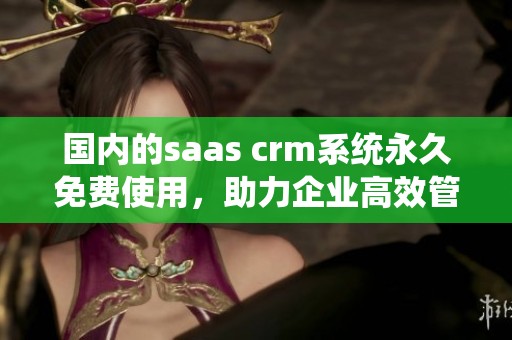 国内的saas crm系统永久免费使用，助力企业高效管理客户关系