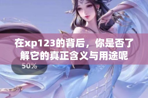 在xp123的背后，你是否了解它的真正含义与用途呢