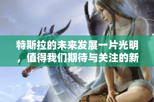 特斯拉的未来发展一片光明，值得我们期待与关注的新能源汽车领域