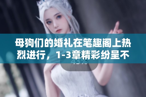 母狗们的婚礼在笔趣阁上热烈进行，1-3章精彩纷呈不容错过