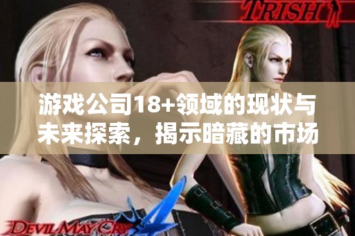 游戏公司18+领域的现状与未来探索，揭示暗藏的市场潜力与挑战