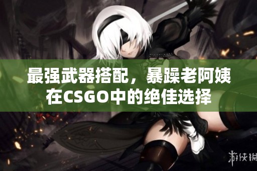 最强武器搭配，暴躁老阿姨在CSGO中的绝佳选择