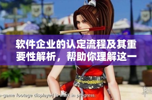 软件企业的认定流程及其重要性解析，帮助你理解这一关键环节