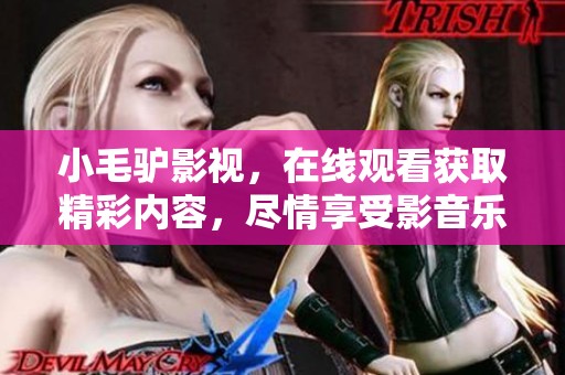 小毛驴影视，在线观看获取精彩内容，尽情享受影音乐趣