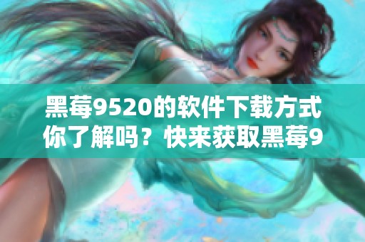 黑莓9520的软件下载方式你了解吗？快来获取黑莓9520最新软件下载吧！