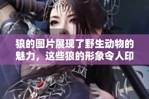 狼的图片展现了野生动物的魅力，这些狼的形象令人印象深刻