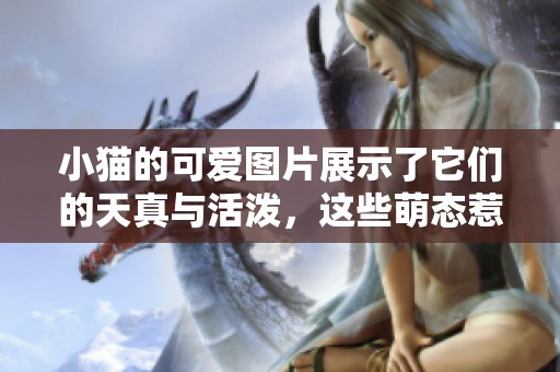 小猫的可爱图片展示了它们的天真与活泼，这些萌态惹人爱。