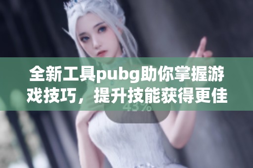 全新工具pubg助你掌握游戏技巧，提升技能获得更佳竞技体验