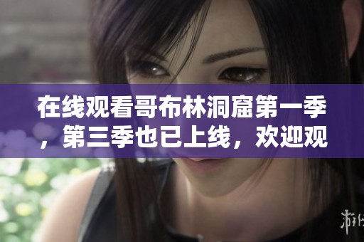 在线观看哥布林洞窟第一季，第三季也已上线，欢迎观看！