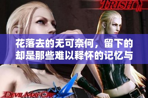 花落去的无可奈何，留下的却是那些难以释怀的记忆与感伤