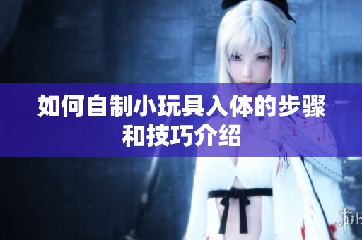 如何自制小玩具入体的步骤和技巧介绍