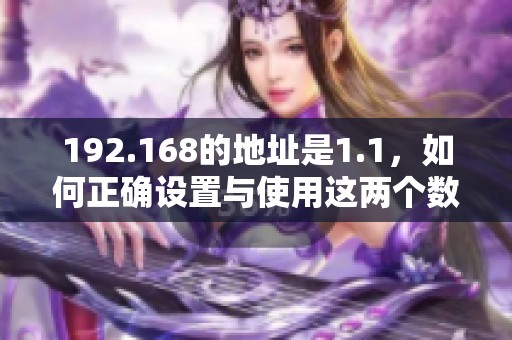 192.168的地址是1.1，如何正确设置与使用这两个数字呢