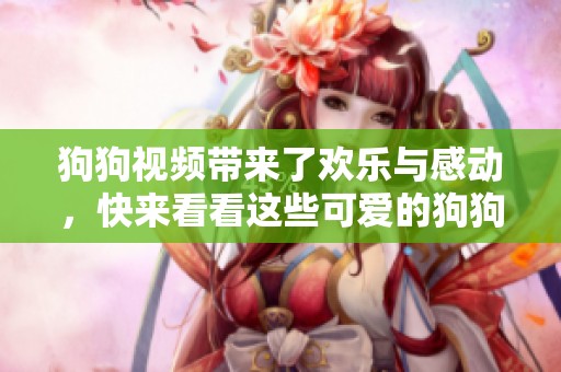 狗狗视频带来了欢乐与感动，快来看看这些可爱的狗狗吧