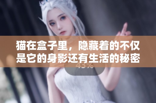 猫在盒子里，隐藏着的不仅是它的身影还有生活的秘密