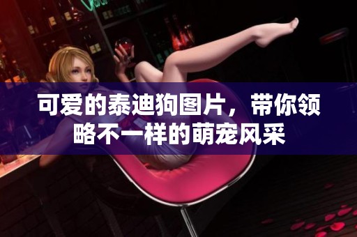 可爱的泰迪狗图片，带你领略不一样的萌宠风采