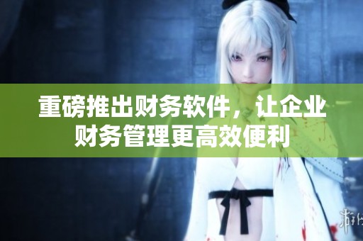 重磅推出财务软件，让企业财务管理更高效便利