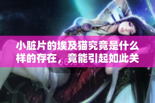 小脏片的埃及猫究竟是什么样的存在，竟能引起如此关注呢