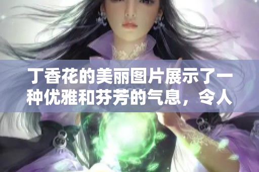 **花的美丽图片展示了一种优雅和芬芳的气息，令人心醉神迷。