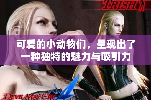 可爱的小动物们，呈现出了一种独特的魅力与吸引力
