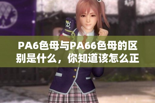 PA6色母与PA66色母的区别是什么，你知道该怎么正确读吗