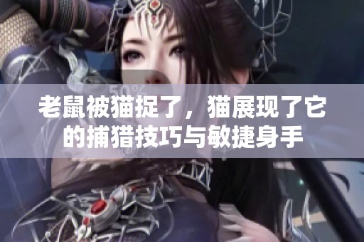老鼠被猫捉了，猫展现了它的捕猎技巧与敏捷身手