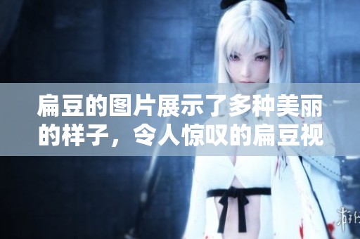 扁豆的图片展示了多种美丽的样子，令人惊叹的扁豆视觉魅力