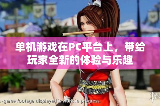 单机游戏在PC平台上，带给玩家全新的体验与乐趣