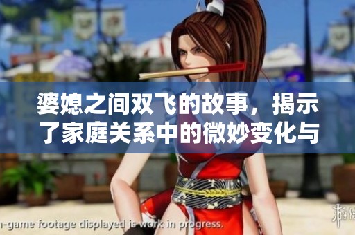 婆媳之间双飞的故事，揭示了家庭关系中的微妙变化与情感纠葛