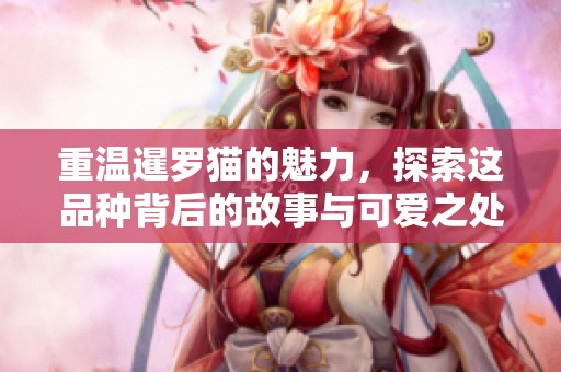 重温暹罗猫的魅力，探索这品种背后的故事与可爱之处