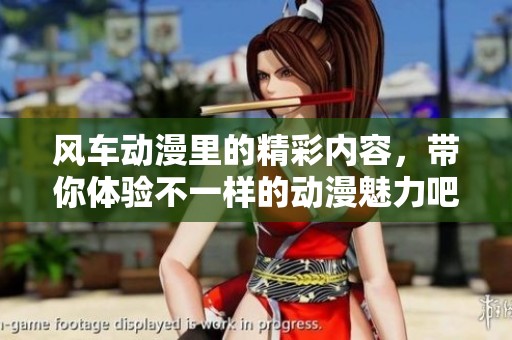 风车动漫里的精彩内容，带你体验不一样的动漫魅力吧