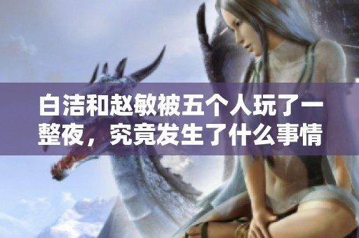 白洁和赵敏被五个人玩了一整夜，究竟发生了什么事情呢
