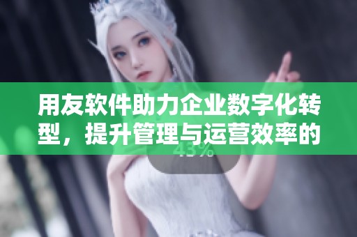 用友软件助力企业数字化转型，提升管理与运营效率的新方案