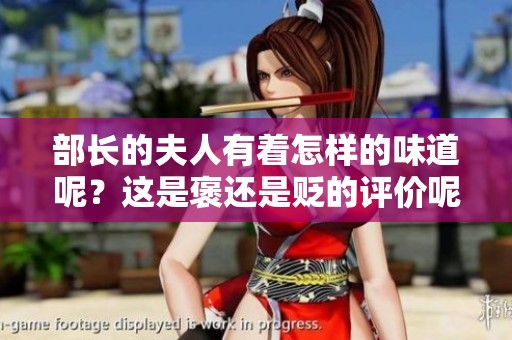 部长的夫人有着怎样的味道呢？这是褒还是贬的评价呢？