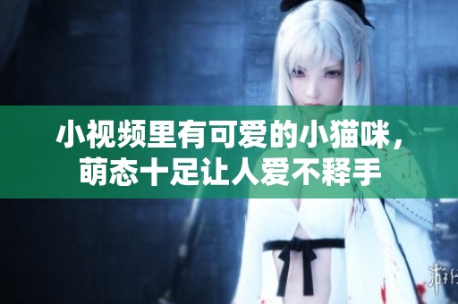 小视频里有可爱的小猫咪，萌态十足让人爱不释手